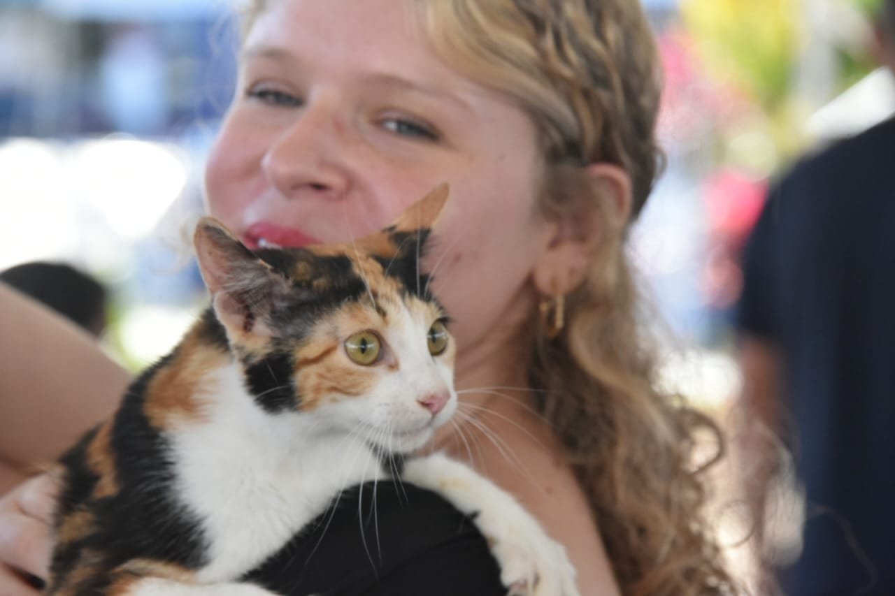 Maricá lança ConectaPet para cadastro de animais e inscrições de castração
