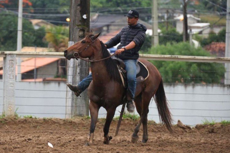 Animais de elite movimentam a Expo Agro Araruama 2026