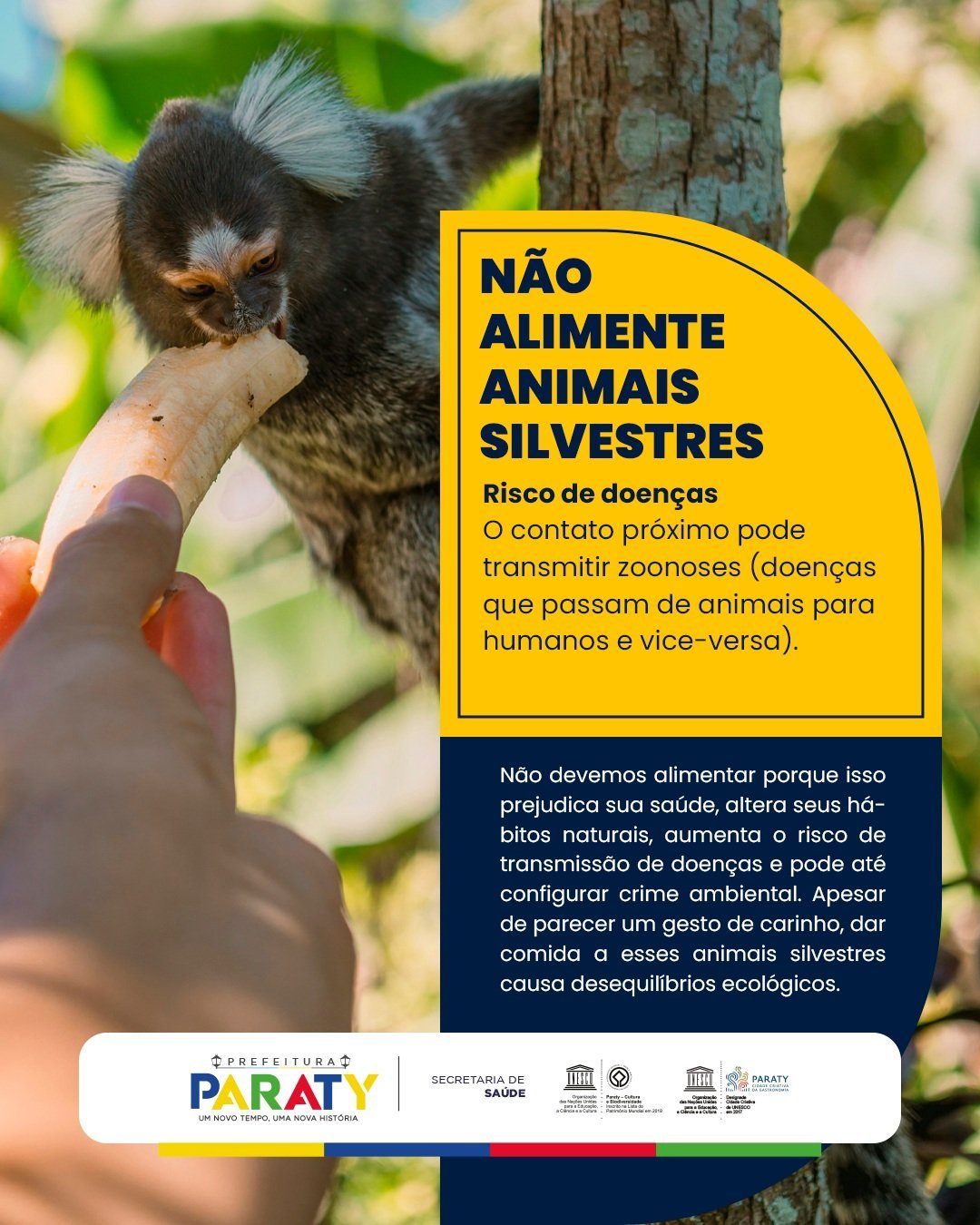 Paraty orienta moradores e turistas a não alimentar animais silvestres