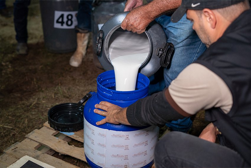 São Francisco de Itabapoana tem concurso leiteiro e shows na programação da ExpoAgro até domingo