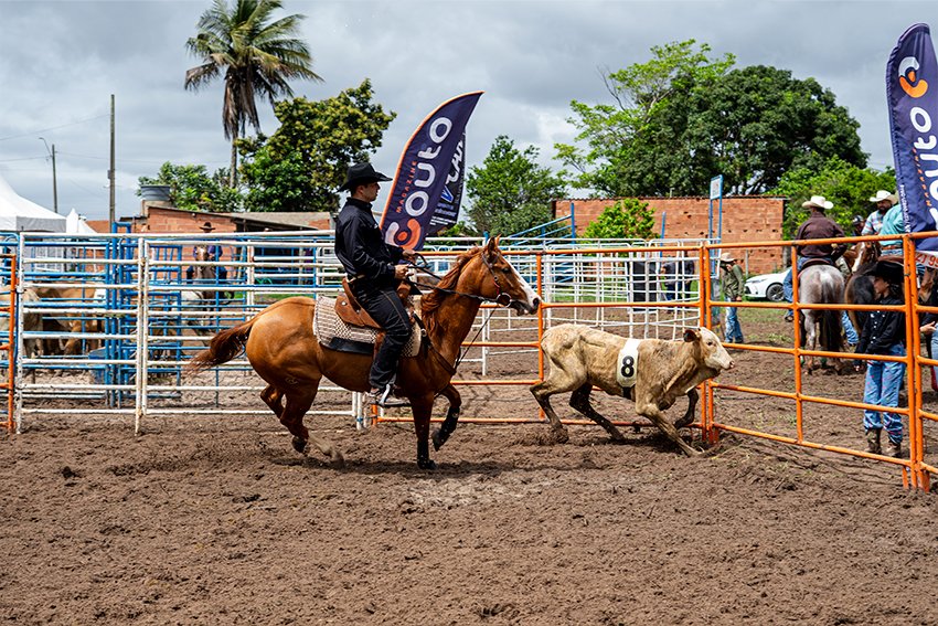 Ranch Sorting reúne 366 duplas na Expoagro de São Francisco de Itabapoana