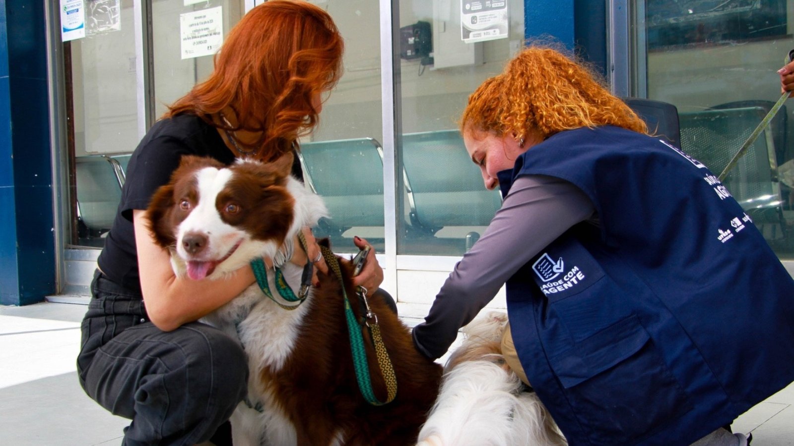 Barra Mansa inicia vacinação contra a raiva para cães e gatos; campanha segue no domingo