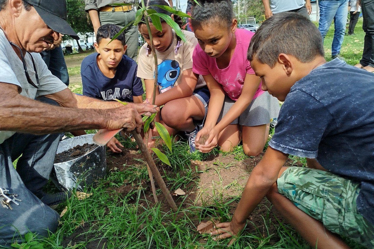 Bosque da Juventude recebe árvores frutíferas e baobá em Campos dos Goytacazes