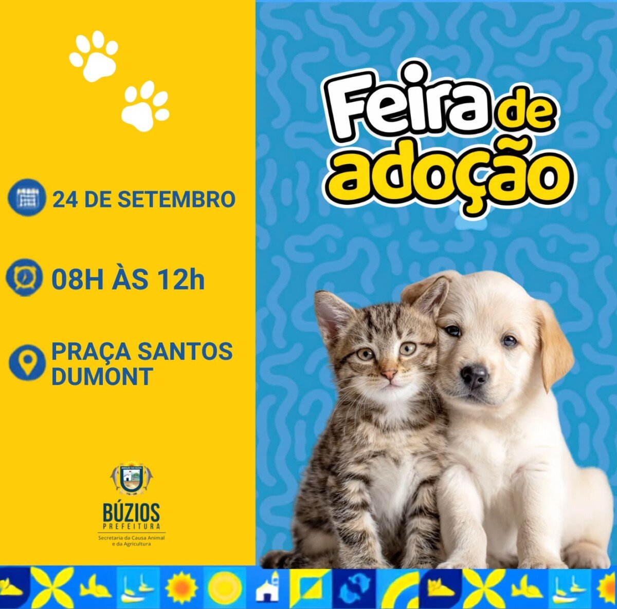 Búzios terá feira de adoção na Praça Santos Dumont nesta quinta-feira