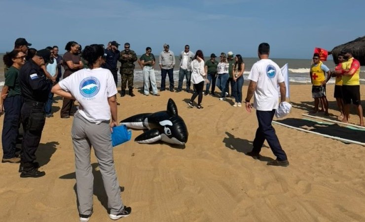 São João da Barra capacita equipes para atender mamíferos marinhos encalhados