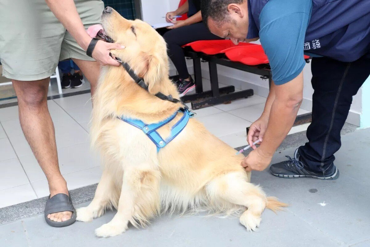 Quissamã vacina 1.570 animais e mantém atendimento contra a raiva até 30 de outubro