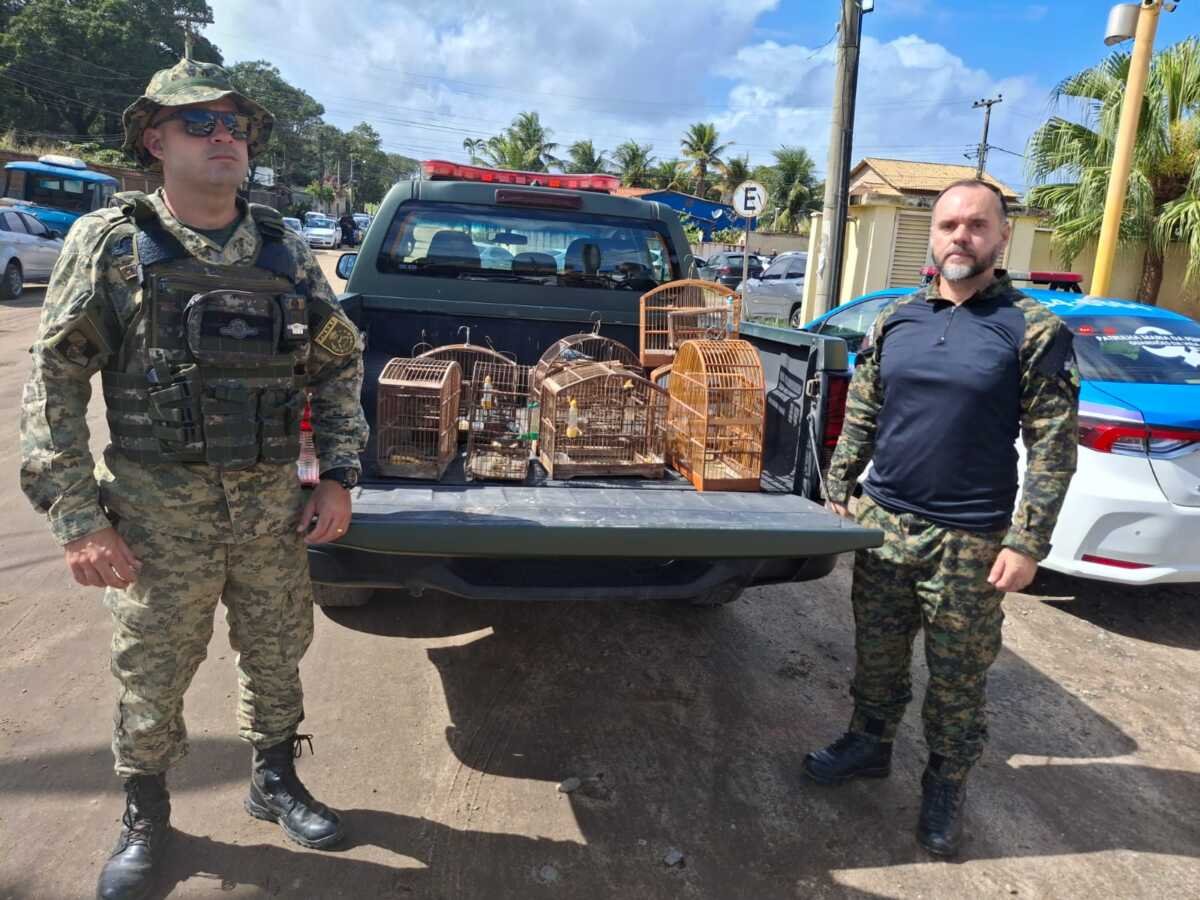 São Pedro da Aldeia resgata oito aves mantidas em cativeiro no Mossoró