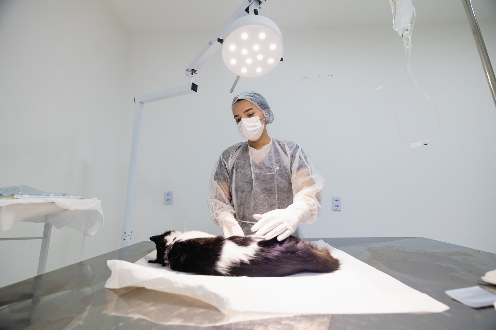 Saquarema realiza mais de 160 atendimentos em ação para animais em Bonsucesso
