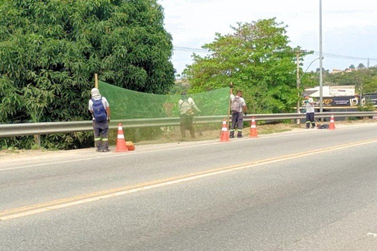 Araruama faz limpeza e roçagem em margens da Rodovia Amaral Peixoto