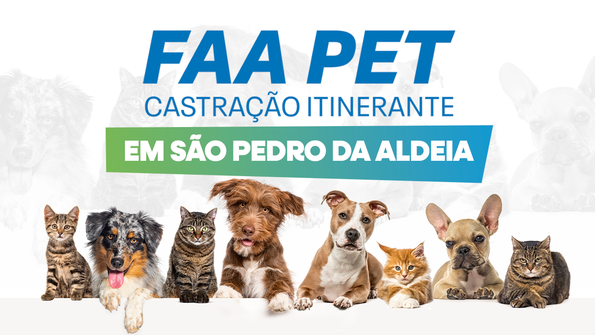São Pedro da Aldeia terá 260 vagas gratuitas para castração de cães e gatos