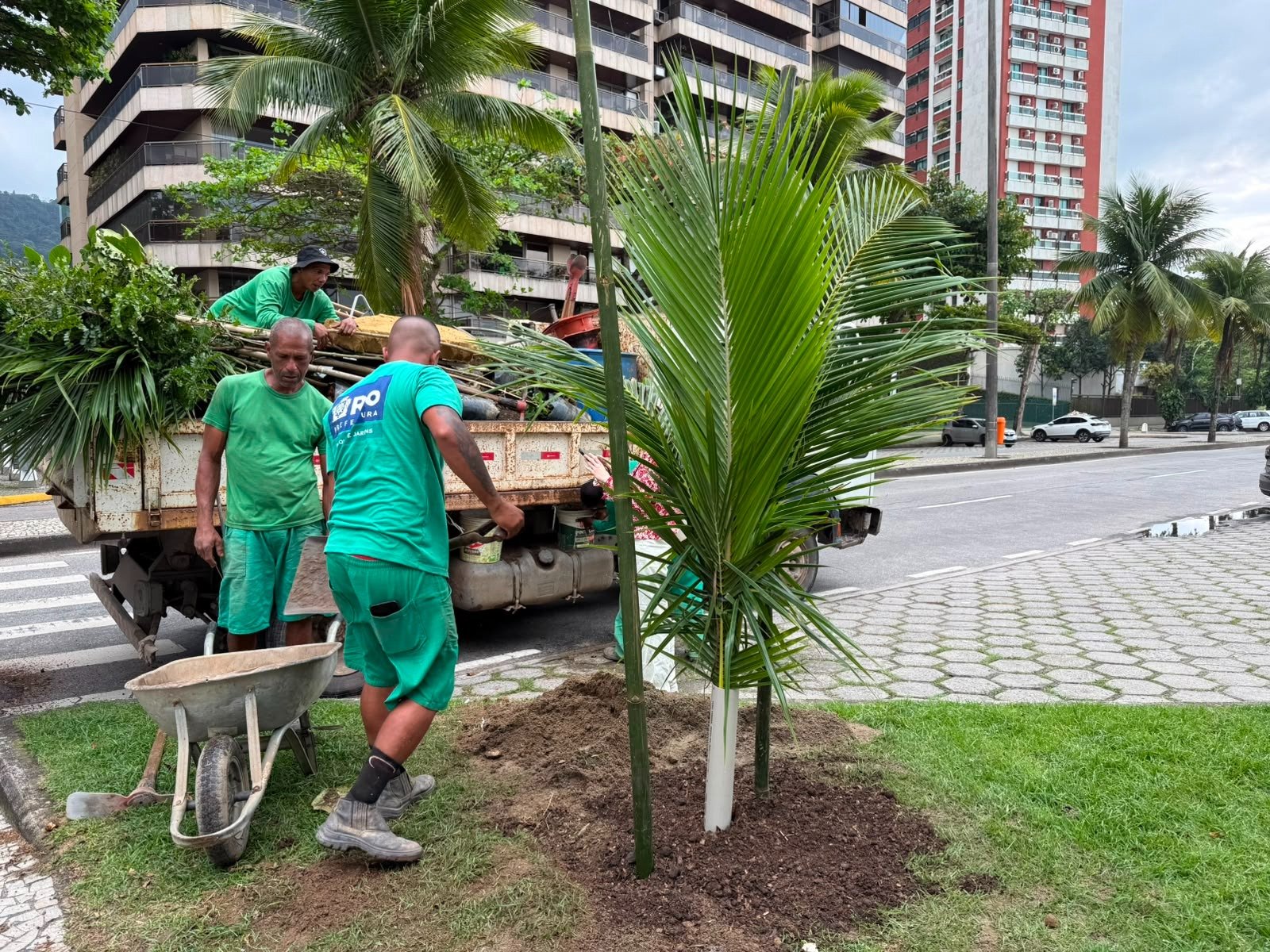 Rio replanta 18 árvores em São Conrado pelo Planta+Rio