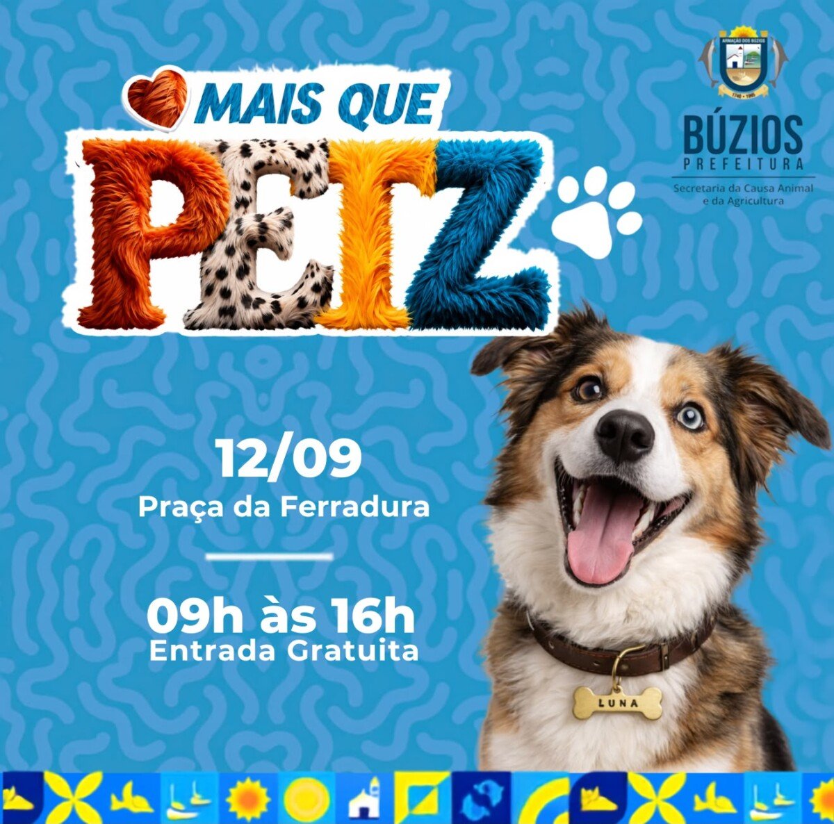 Búzios terá adoção de animais, vacinação e atendimento gratuito na Praça da Ferradura