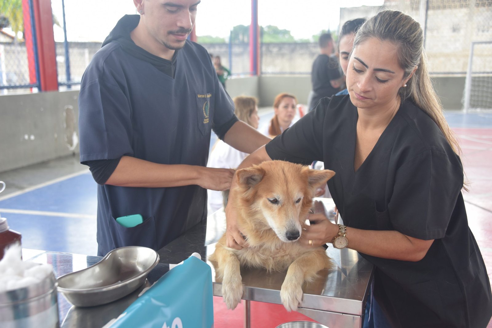 Maricá terá cadastro e microchipagem gratuitos de pets em Itaipuaçu no sábado