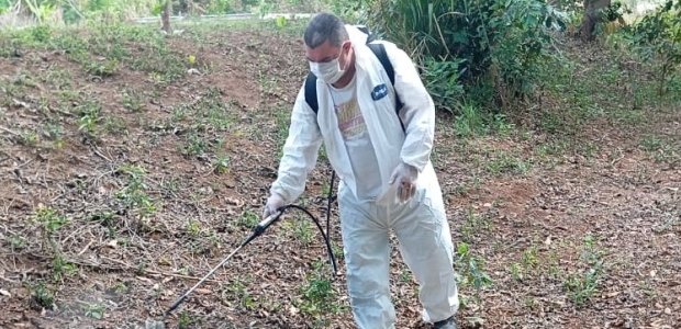 Bom Jesus do Itabapoana inicia ações contra febre maculosa após morte confirmada