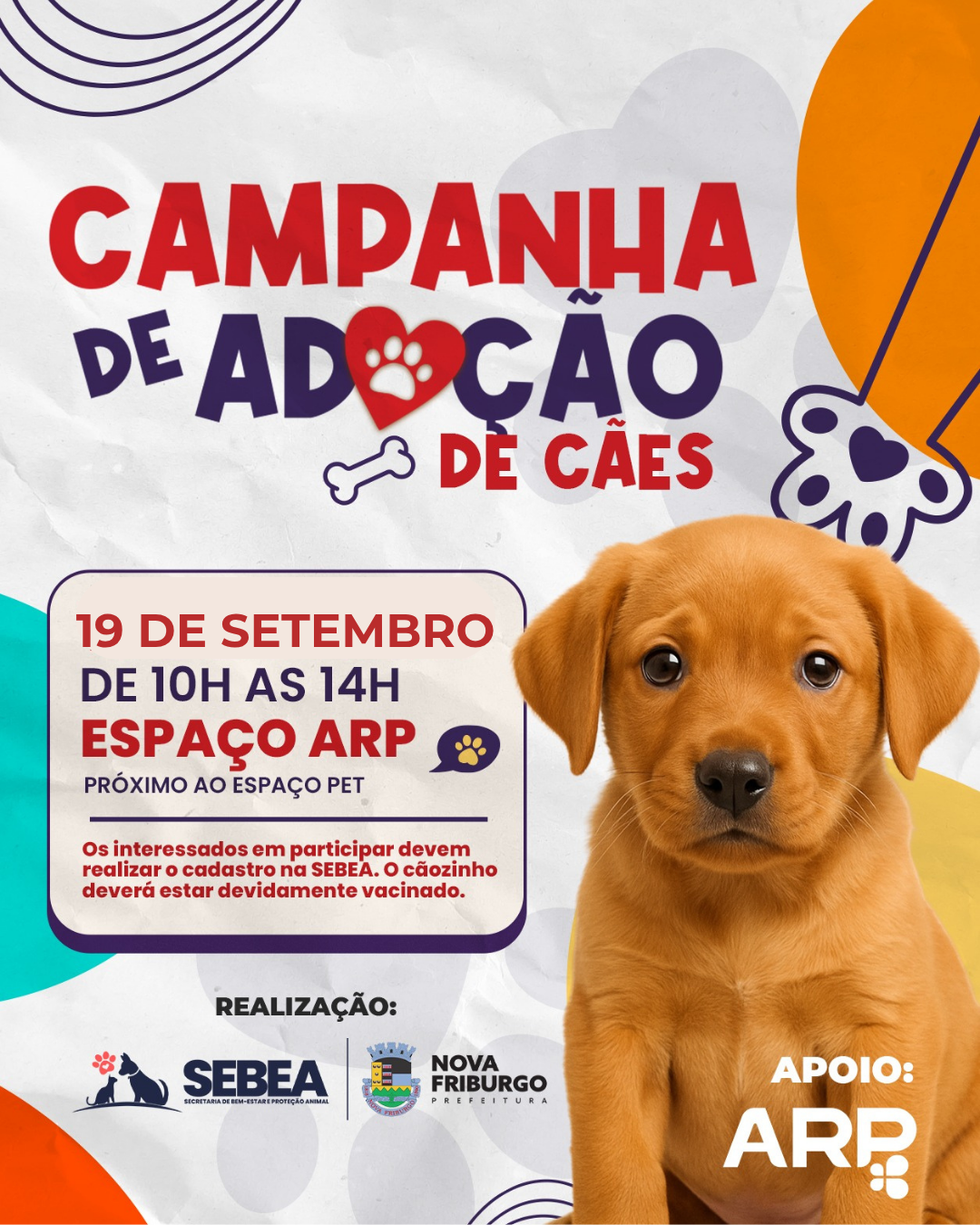 Nova Friburgo terá campanha de adoção de cães no Espaço ARP em 19 de setembro