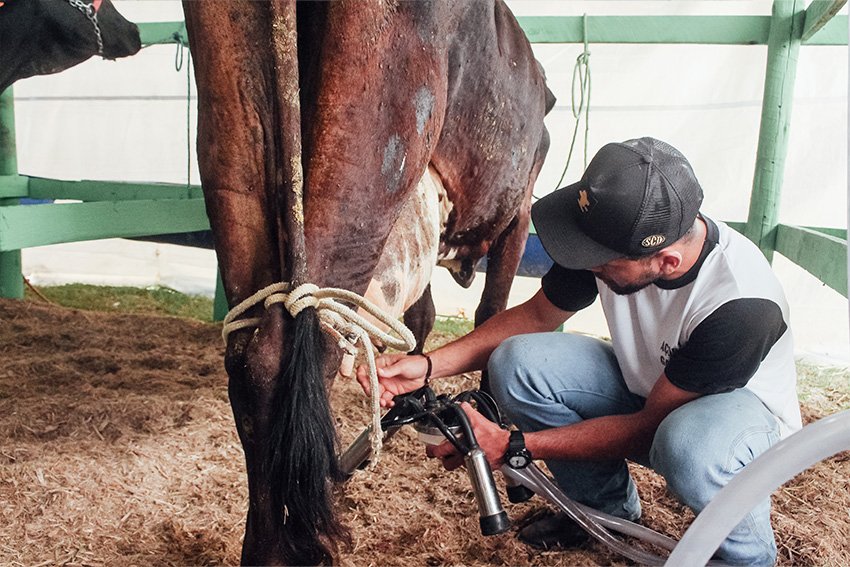 São Francisco de Itabapoana terá concurso leiteiro com R$ 40 mil em prêmios na ExpoAgro