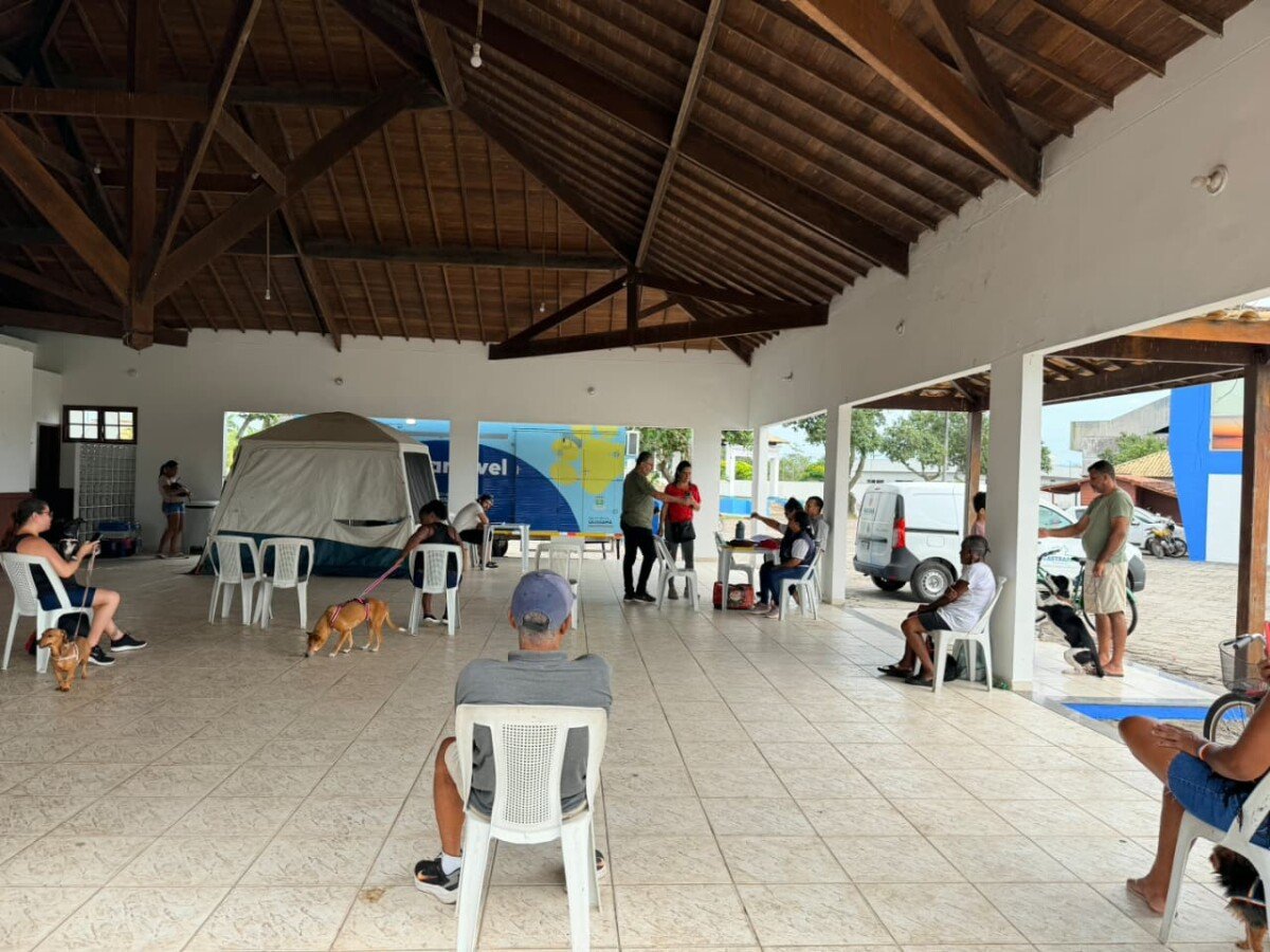 Quissamã realiza 62 castrações gratuitas de cães e gatos; veja onde agendar