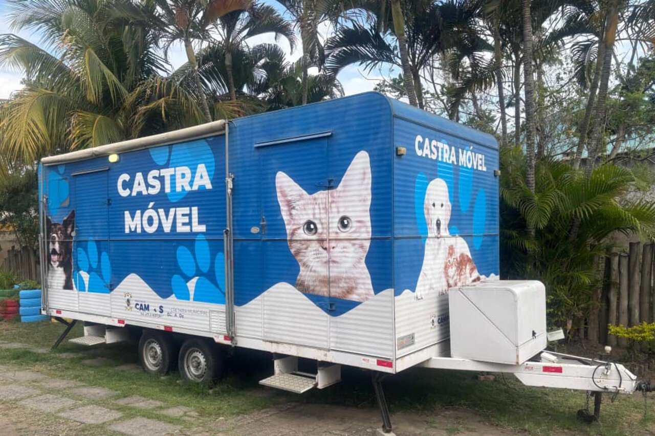Campos abre inscrições para castração gratuita de cães e gatos de oito bairros