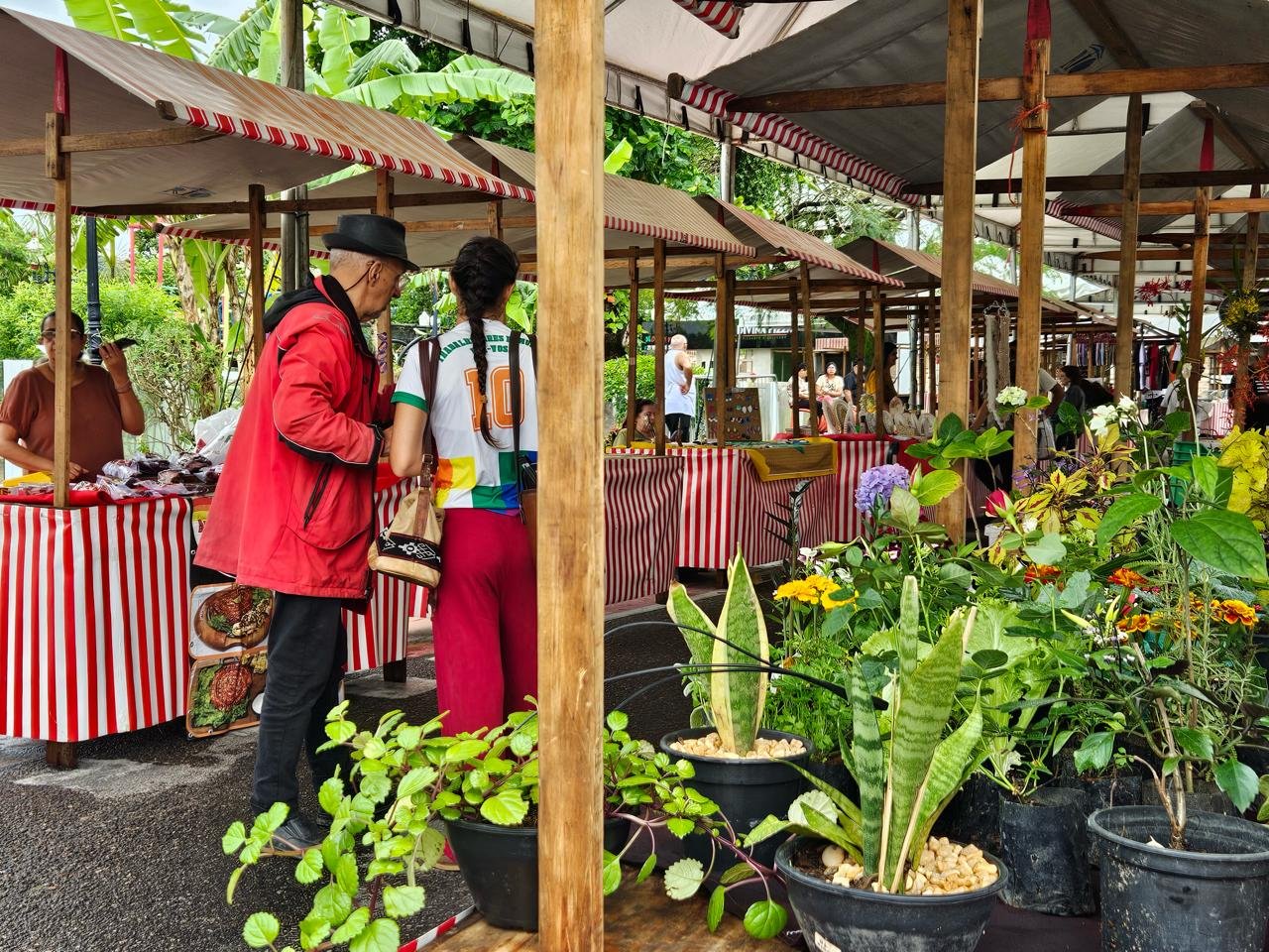 Feira da Agricultura Familiar reúne alimentos e artesanato em Araçatiba, em Maricá
